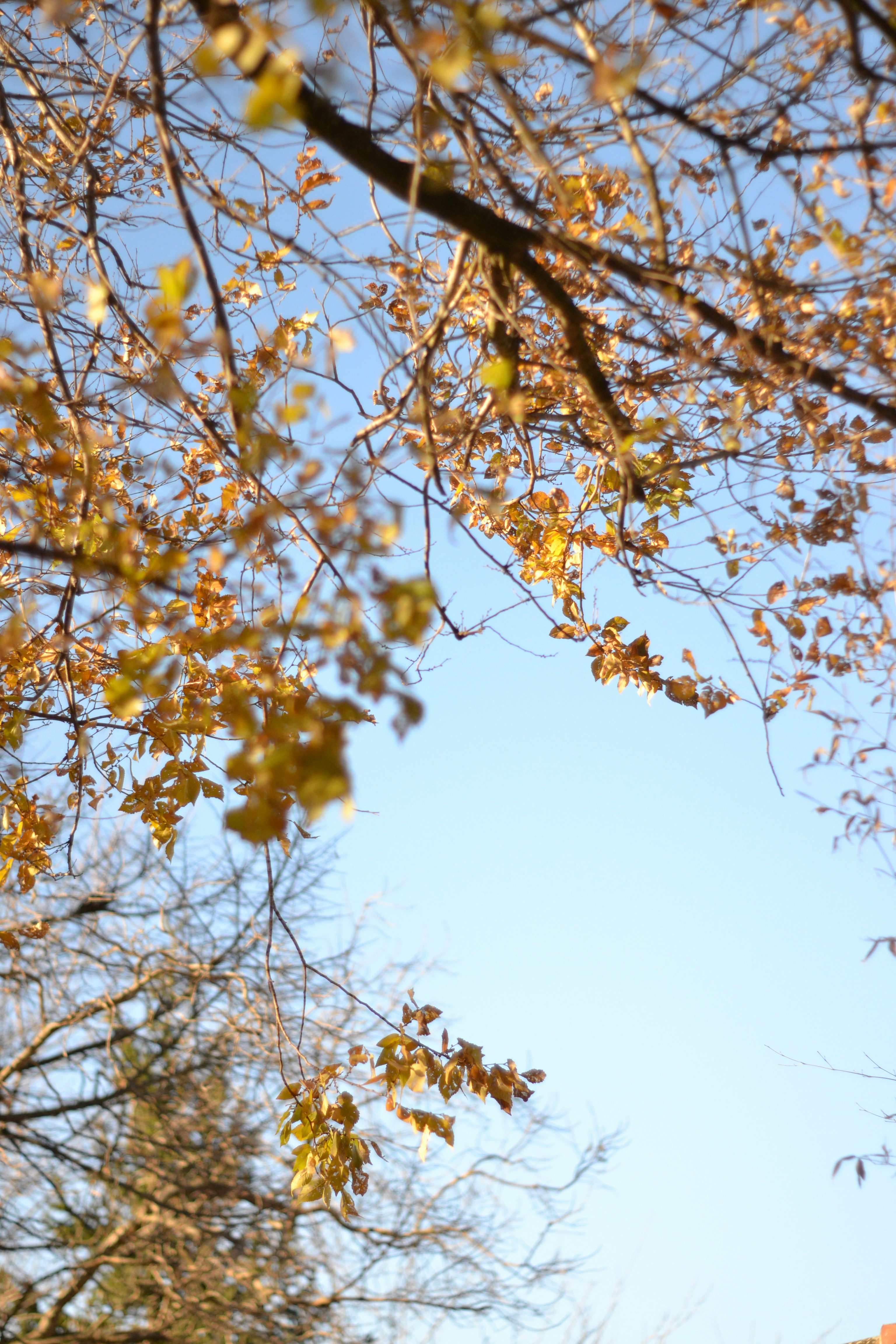 Photo by sergidolcet