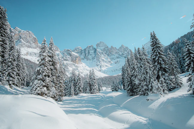 12-Day Canada & USA Winter Family Itinerary