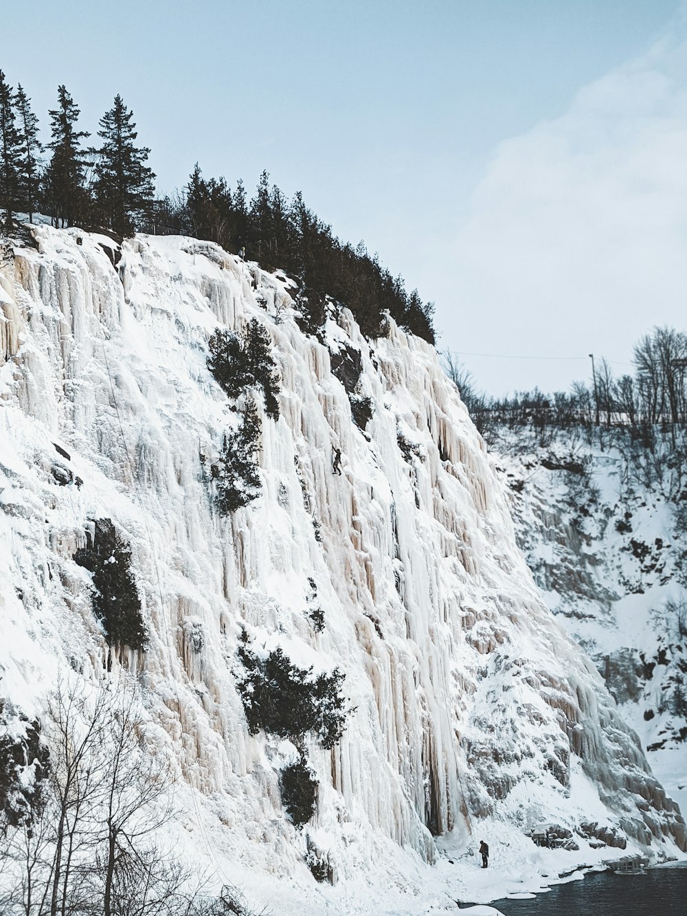 árboles verdes en la montaña cubierta de nieve blanca durante el día