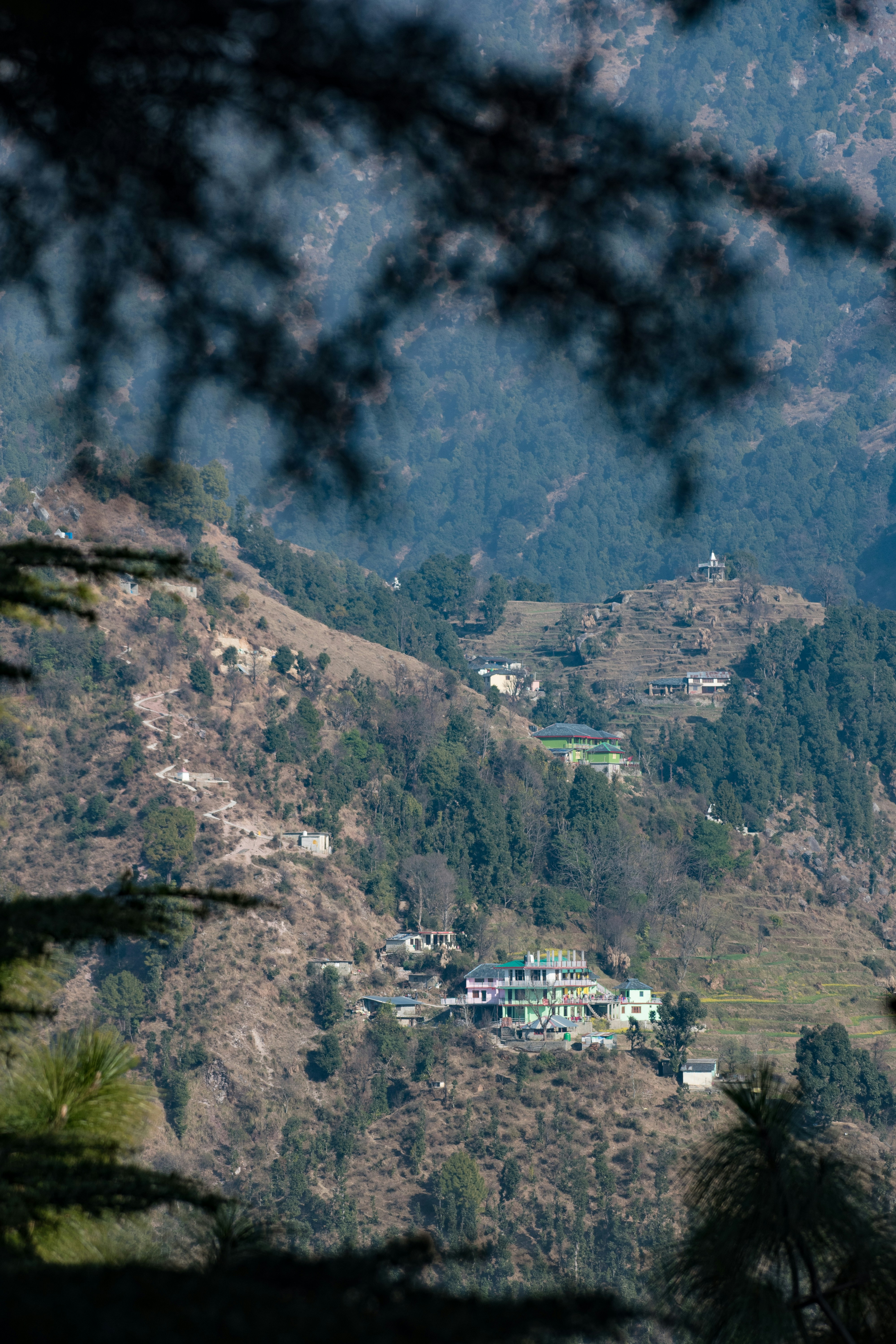 Photo by pahadonkamauji