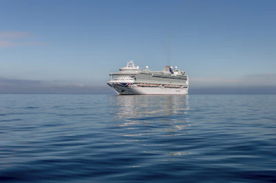 Luxury cruise ship sailing on calm blue waters under a clear sky.