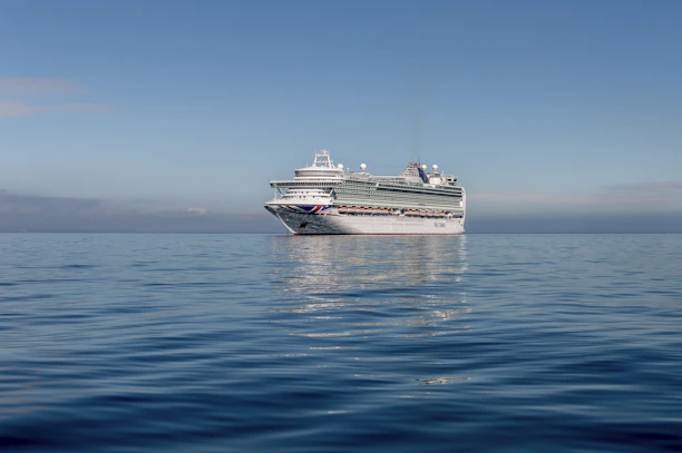 A vibrant cruise ship sailing on clear blue waters under a sunny sky.