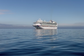 A luxury cruise ship sailing on clear blue ocean waters under a sunny sky.