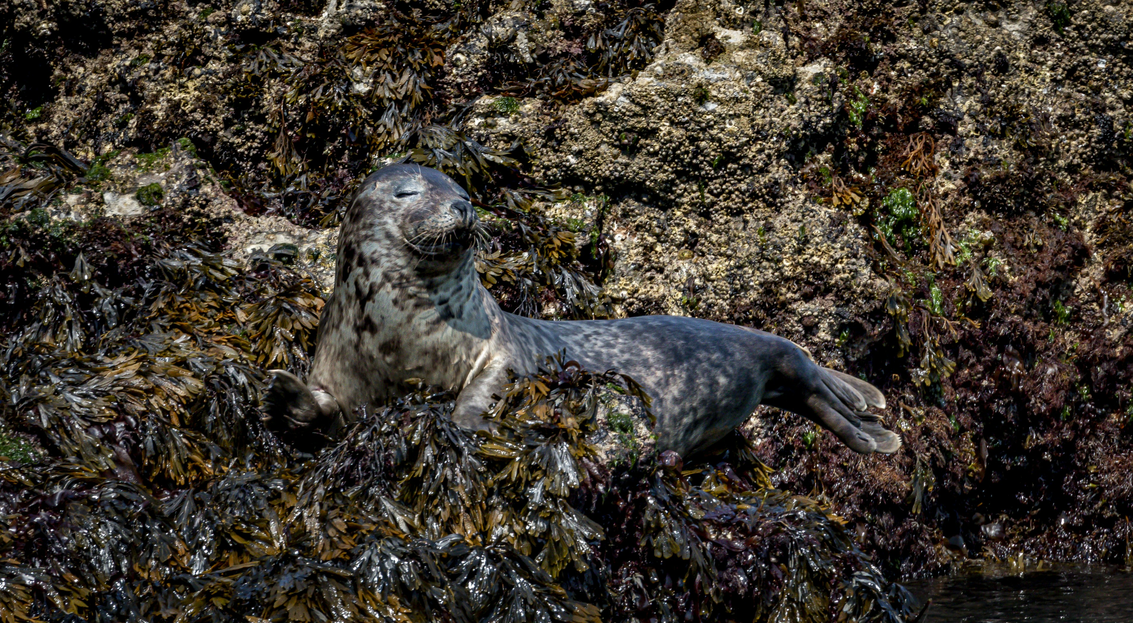 Photo by raymondo600