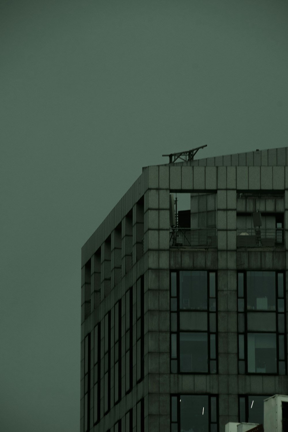 建物の上空を飛ぶ黒い鳥