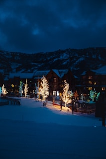 brown trees on snow covered ground during night time