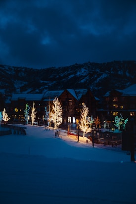 brown trees on snow covered ground during night time
