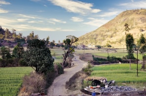 A rural landscape with a winding dirt road passing through lush green fields and trees. The scene includes a backdrop of hills under a partly cloudy sky. There is a horse-drawn cart in the foreground, and small figures of people can be seen along the road.