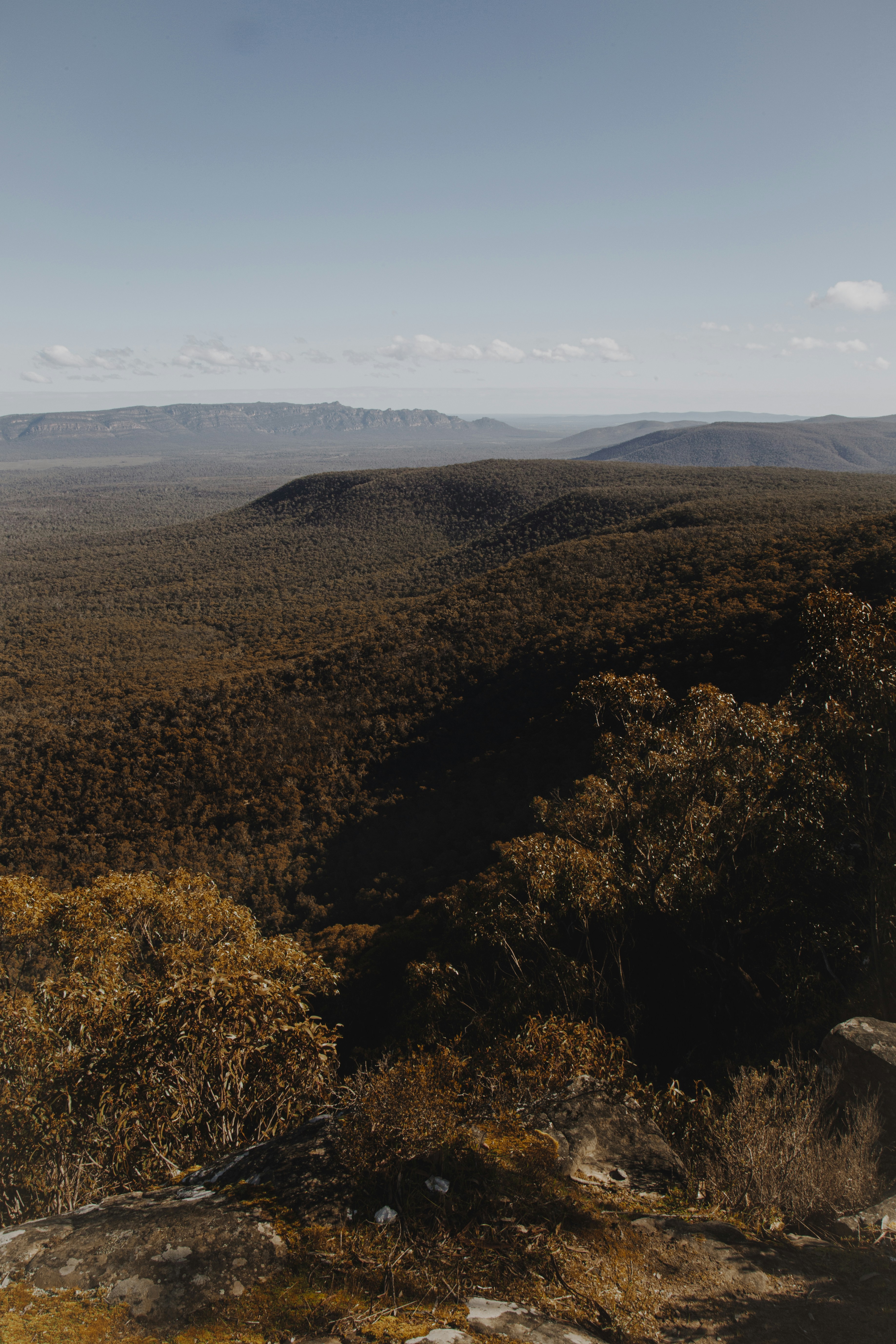 Photo by i_am_simoesse