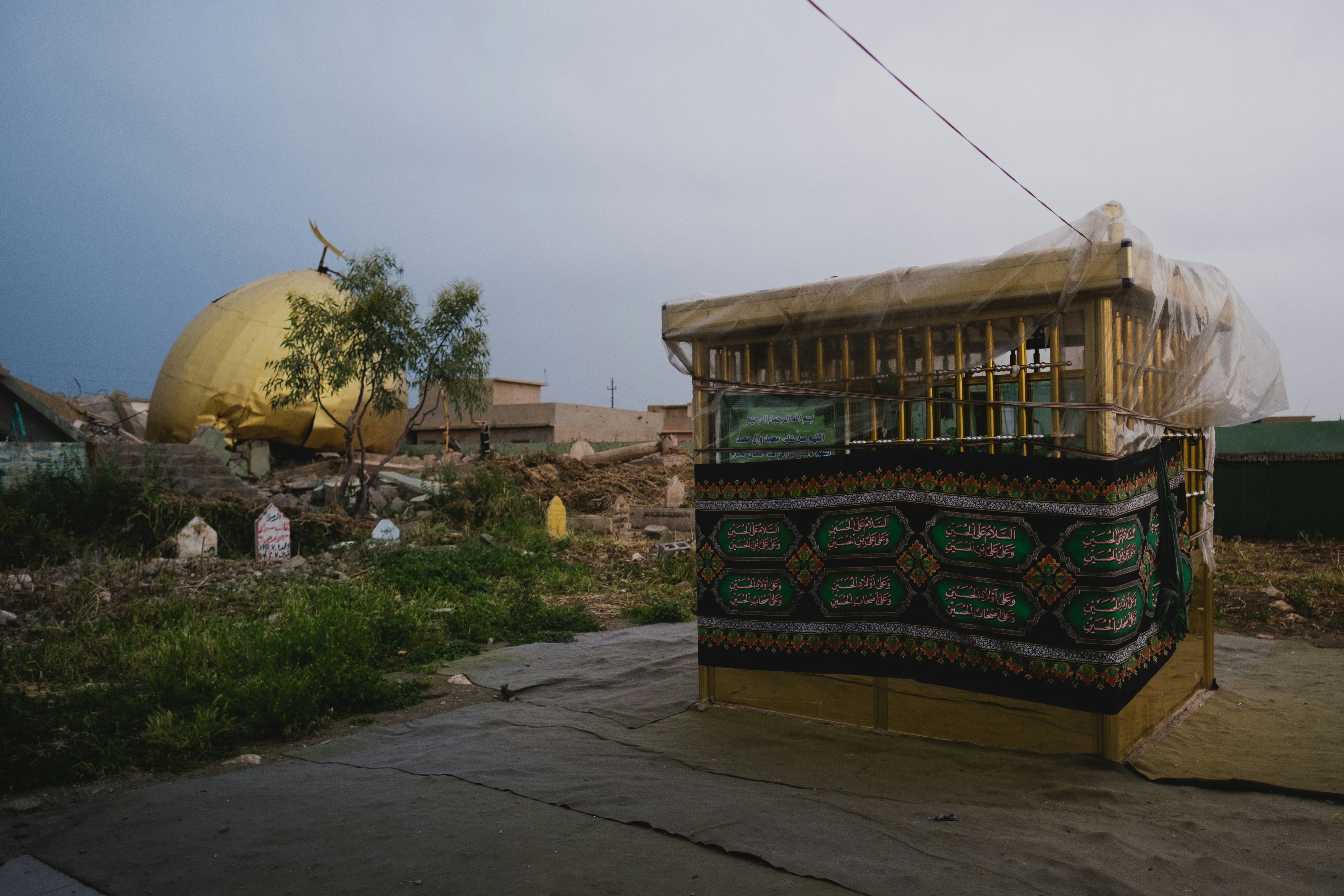 تاريخ الجهل في العالم العربي وتأثيره على ضياع الأوطان