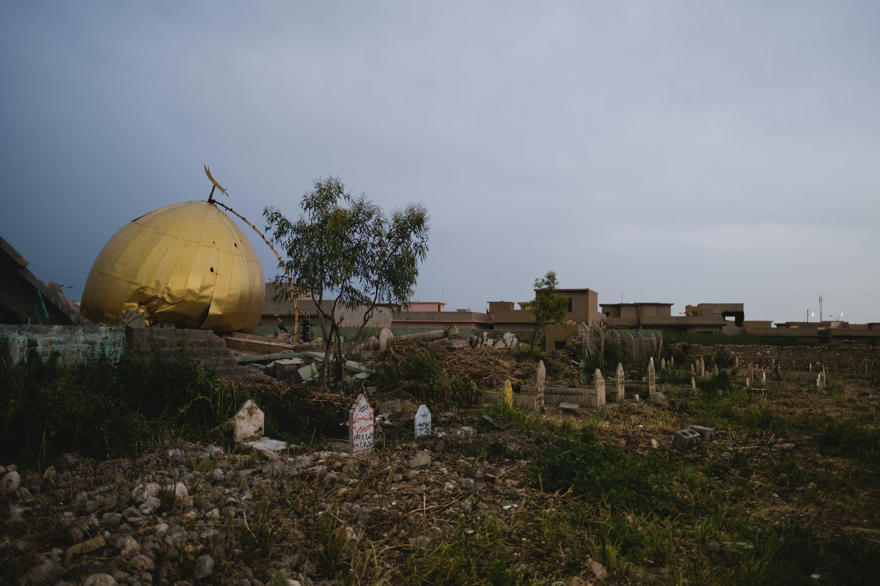 brown dome building near green trees during daytime