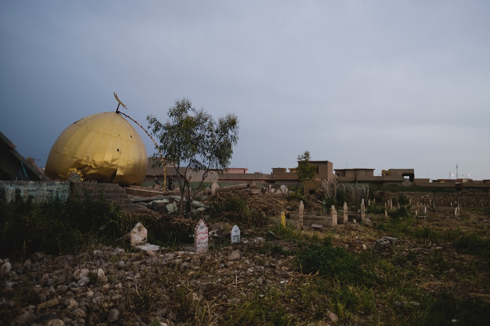 brown dome building near green trees during daytime