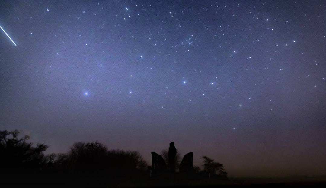 silhouette of trees under starry night