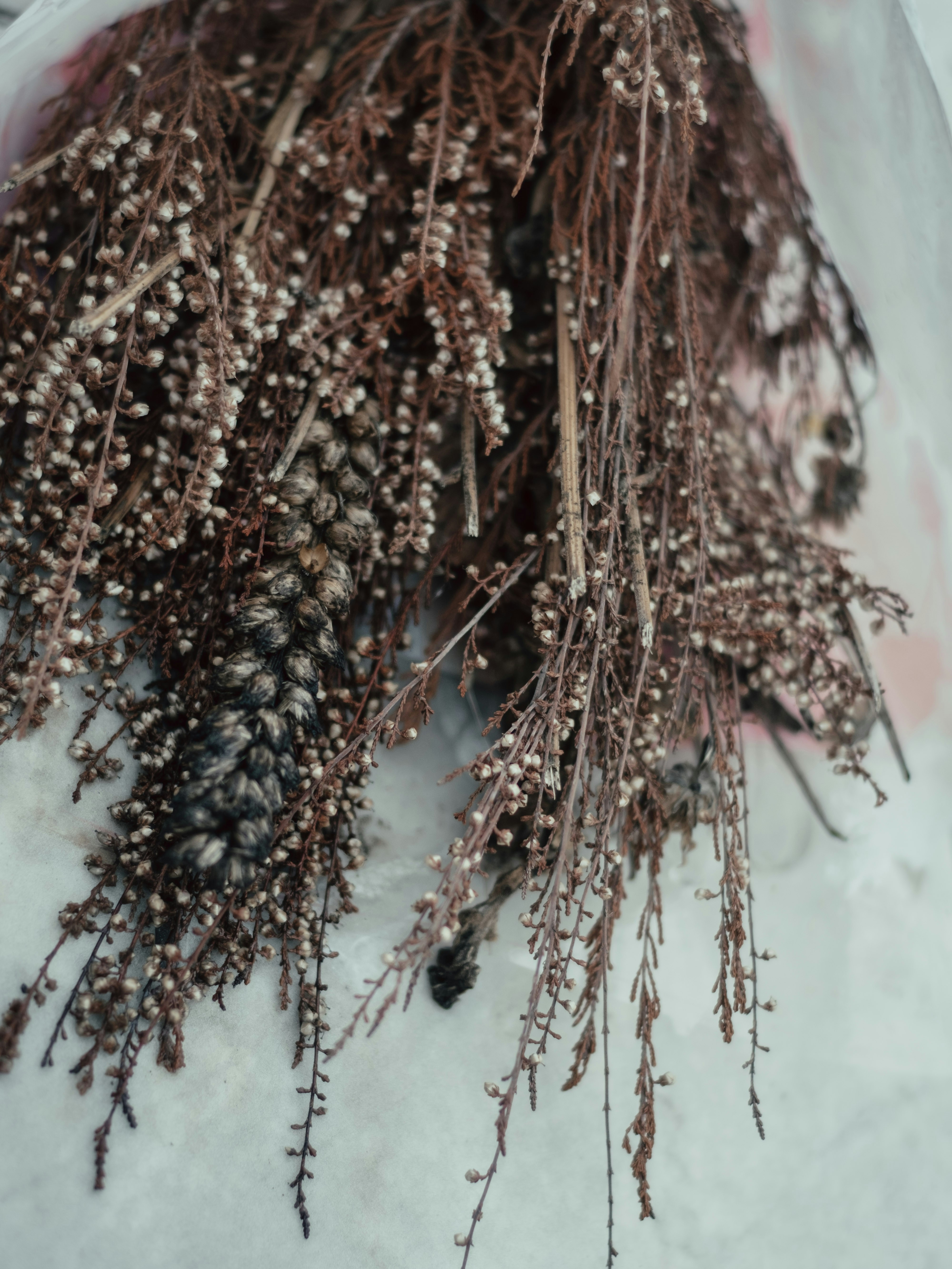 Photo by absolutocaos