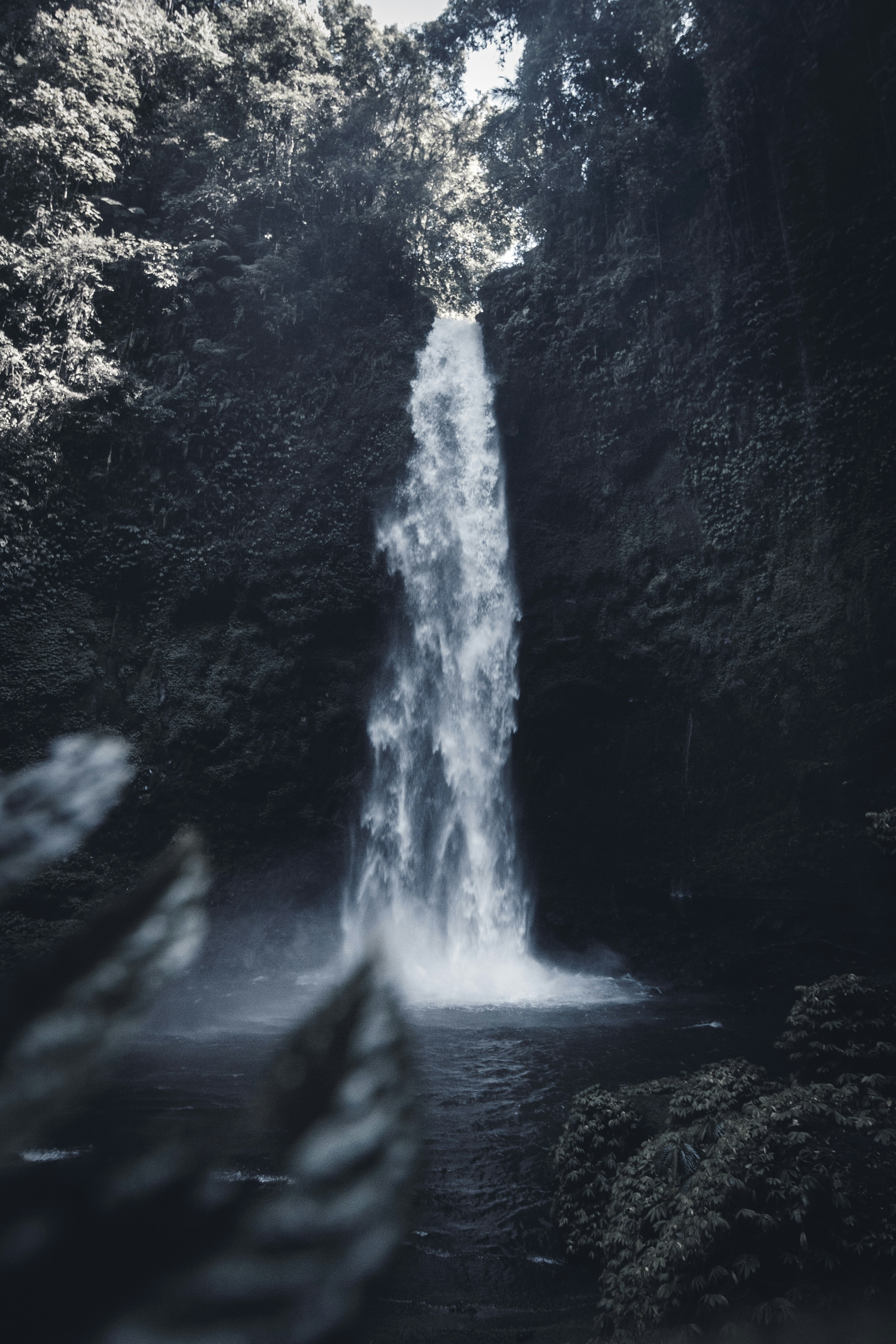 Photo by visualsofdana