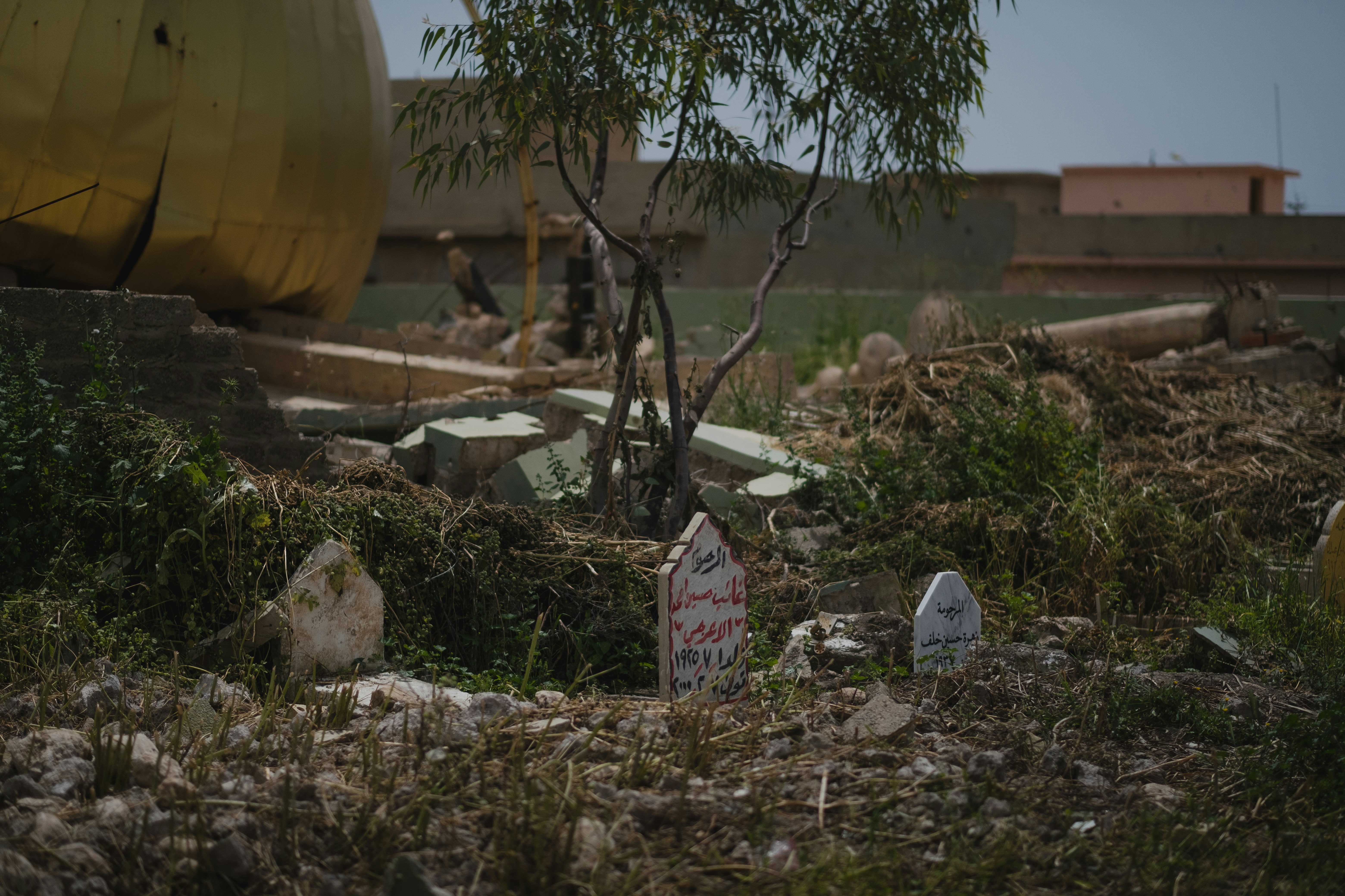 white plastic container on brown soil