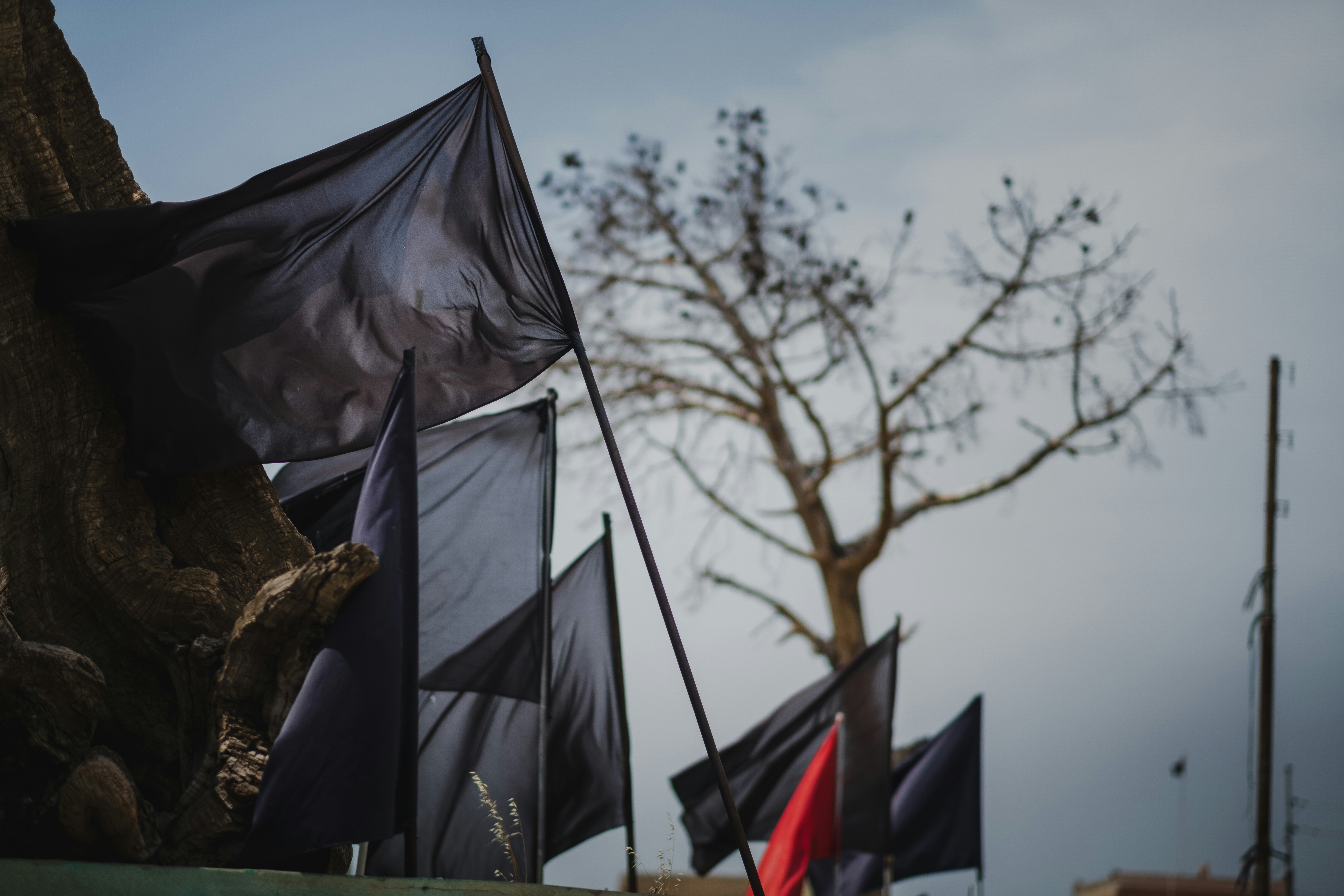 Photo by levimeirclancy