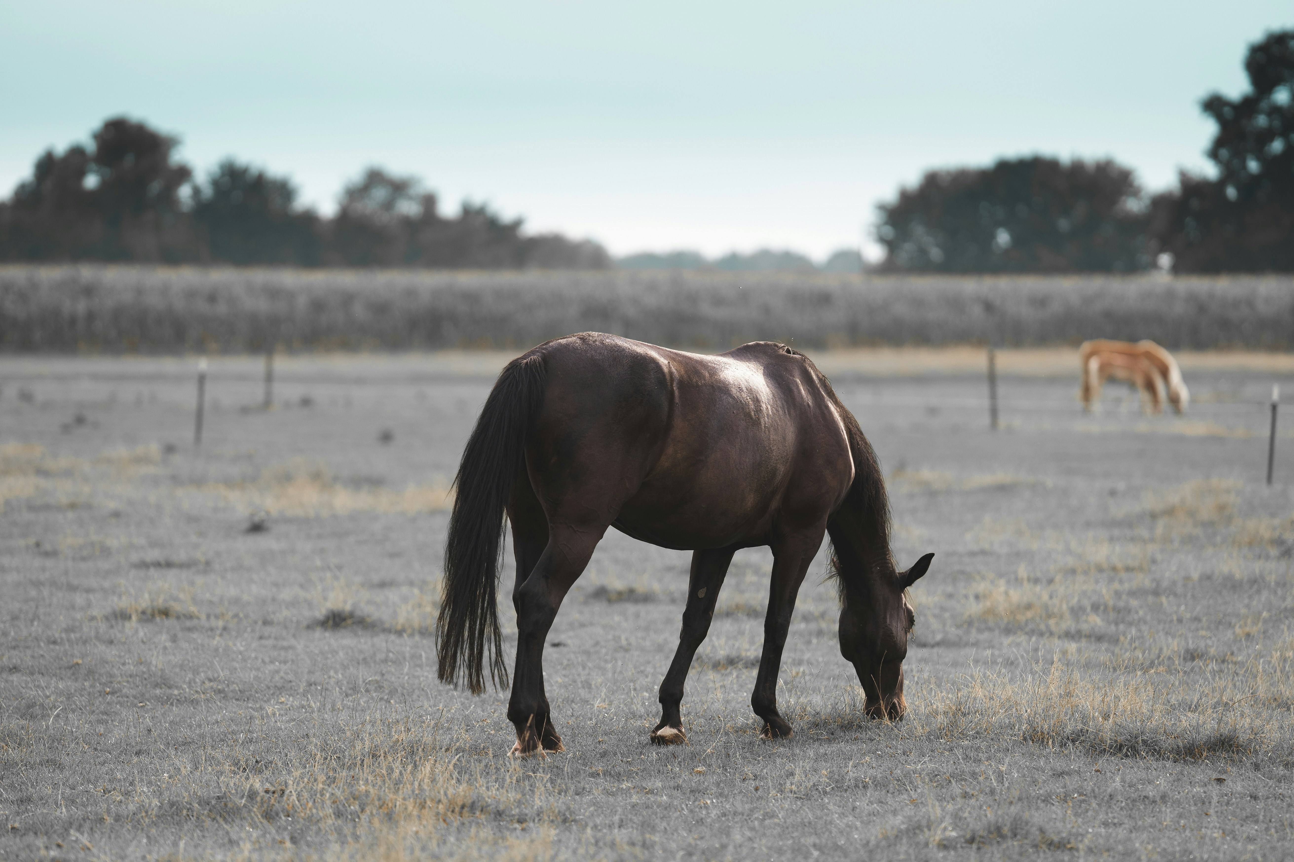 Photo by omarvellous14