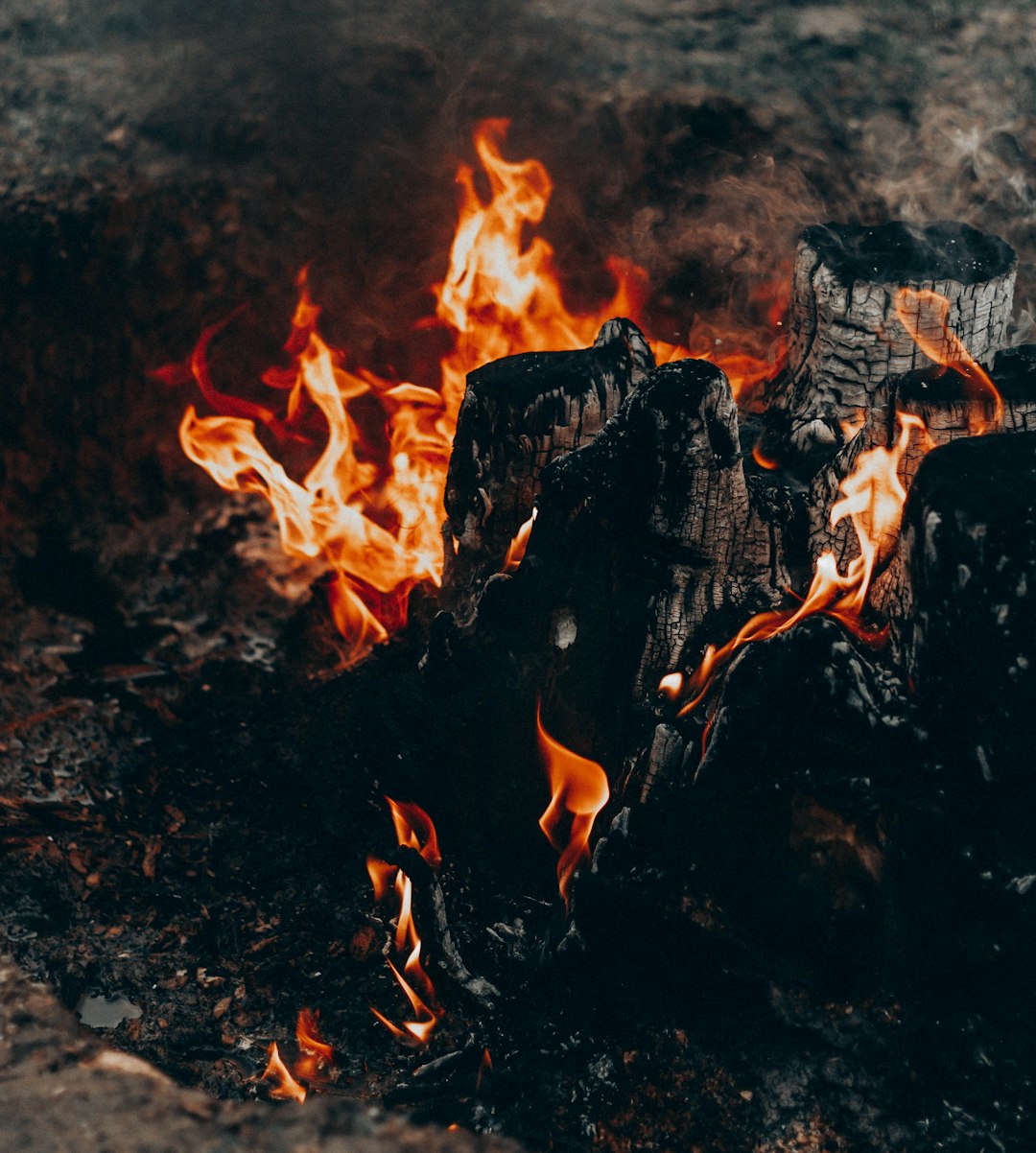 burning wood on brown soil