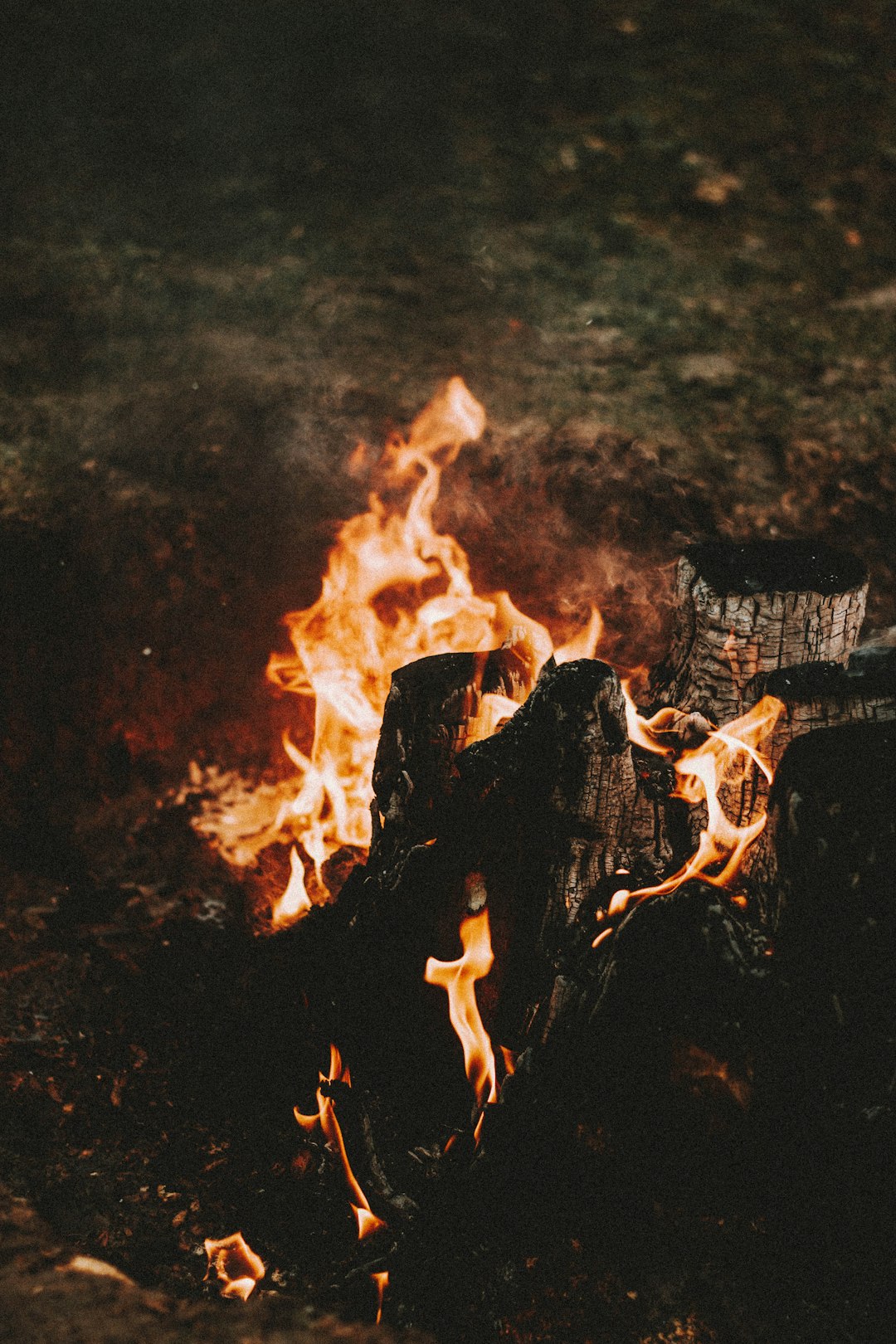 burning wood on fire during night time