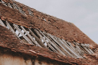 brown and white wooden house