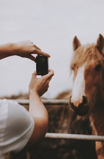 A person is holding a small camera or smartphone, capturing a photo of a horse with a fluffy mane. The horse appears calm and is positioned on the right side of the image, with a close-up focus on its head. The background is blurred, emphasizing the subject.