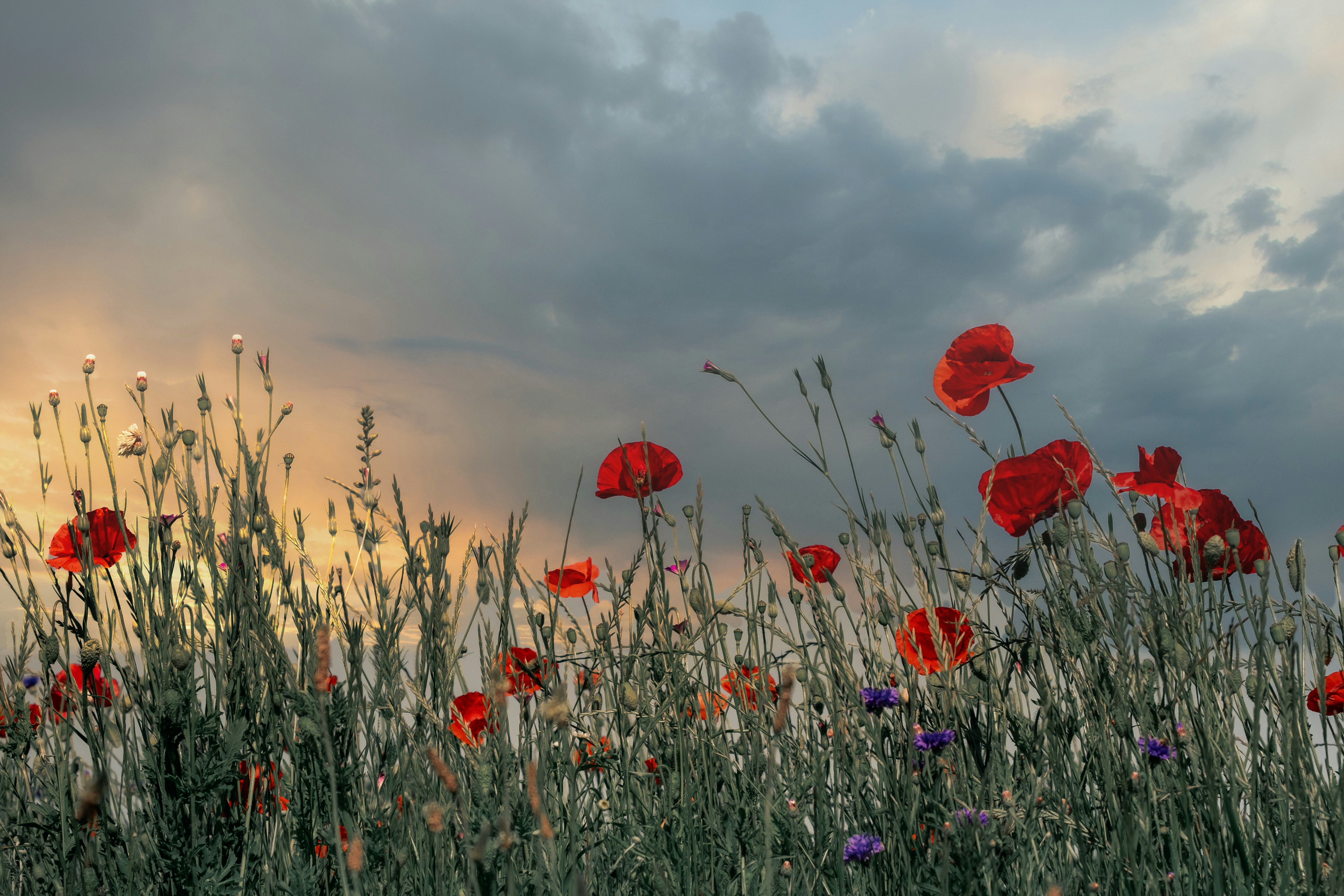 Photo by couleuroriginal