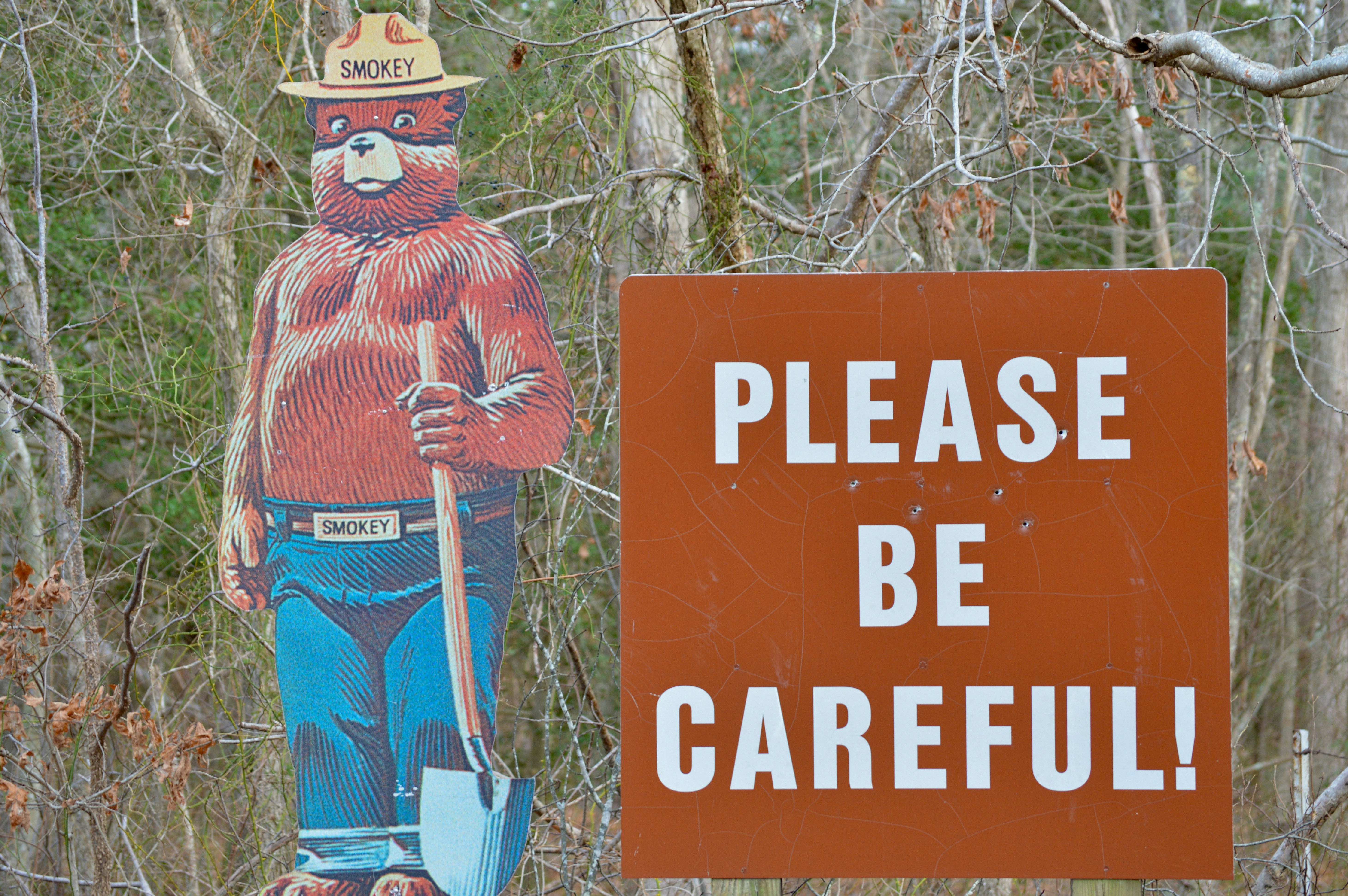 How to Outwit a Bear: A Hilarious Tale of Bravery in the Wild
