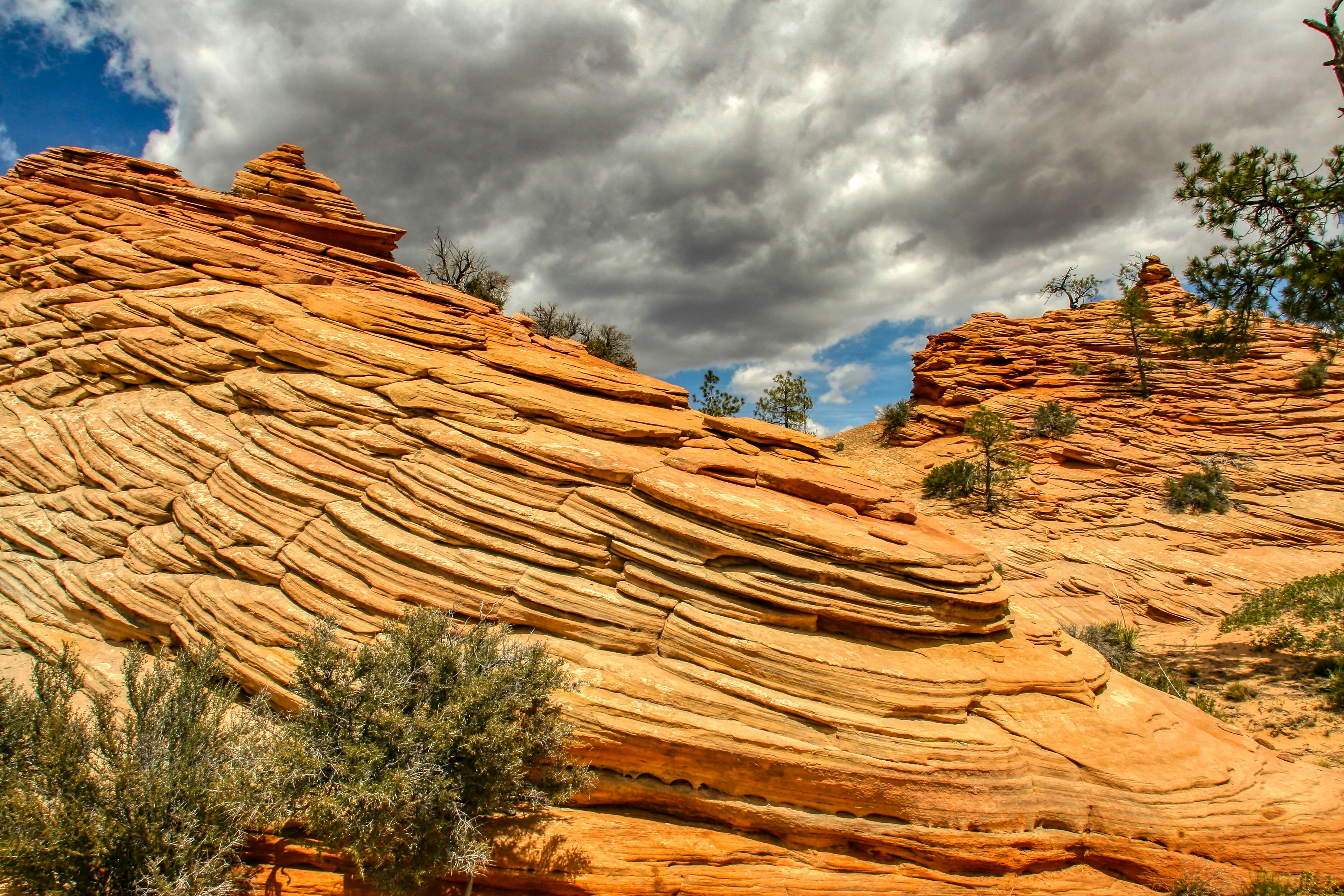 brown rock formation under white clouds during daytime, Slickrock formations along the path from Checkerboard Mesa toward Parunuweap Canyon in Zion National Park.