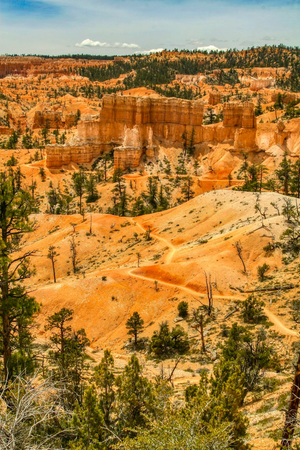 Formation rocheuse brune près des arbres verts pendant la journée