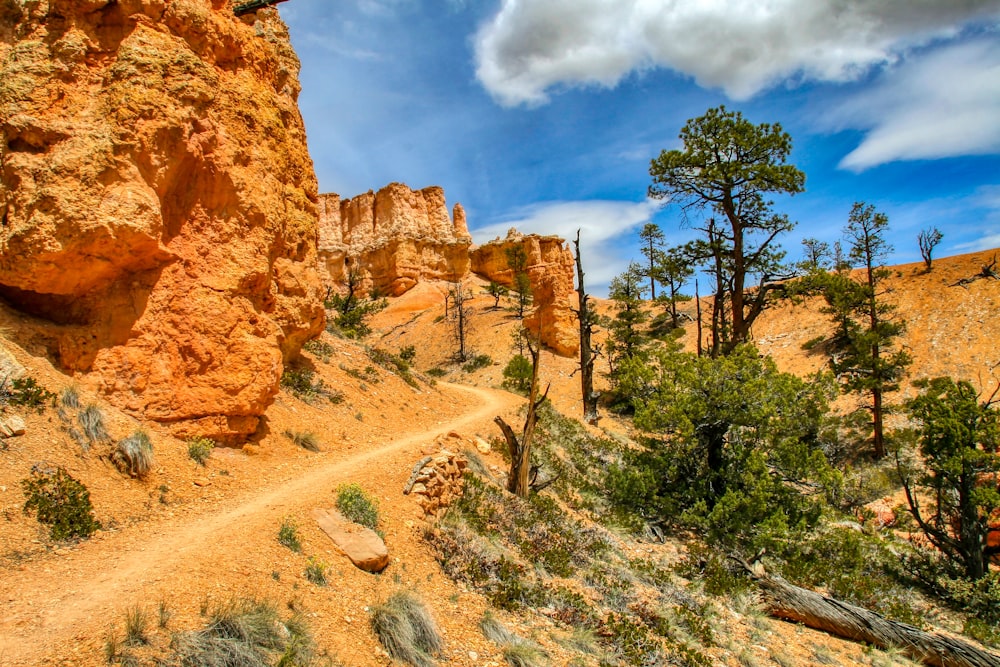 green trees on brown rocky mountain under blue and white cloudy sky during daytime