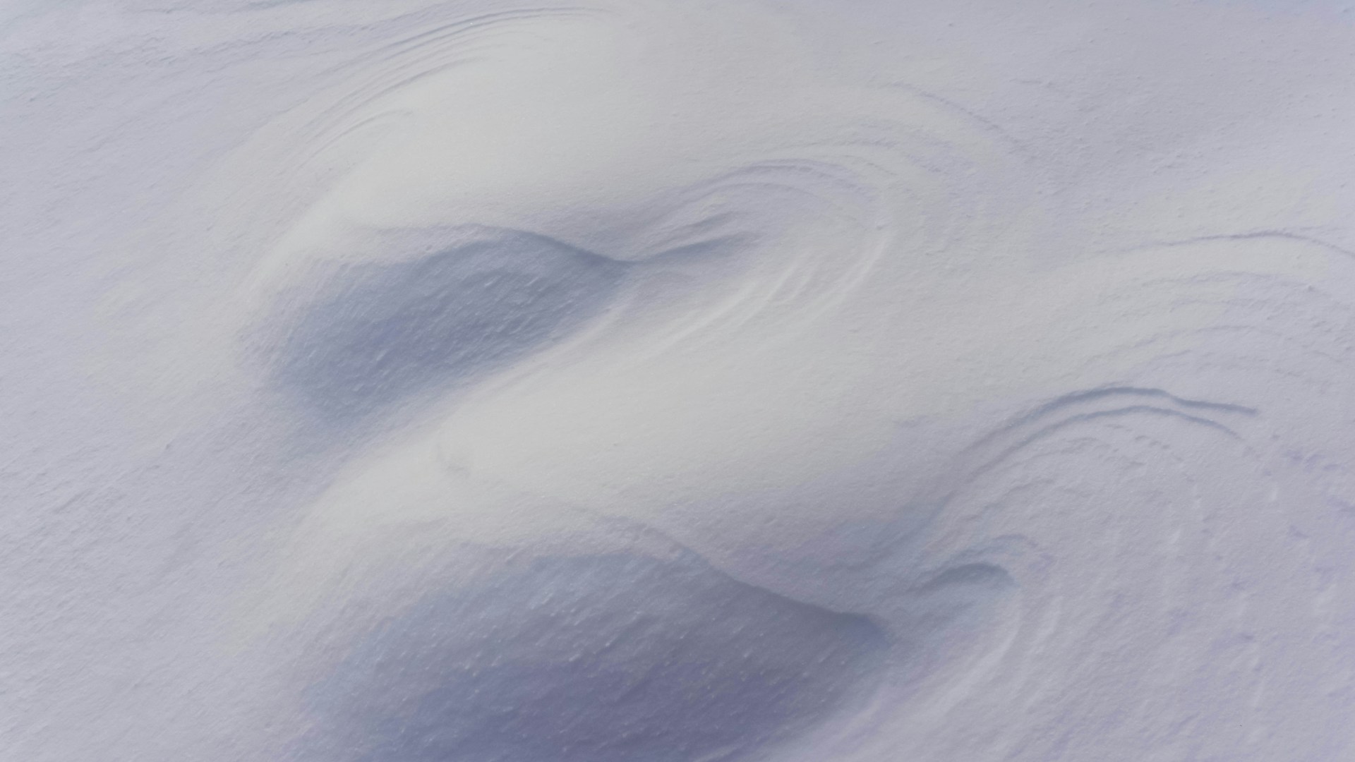 white and blue abstract painting