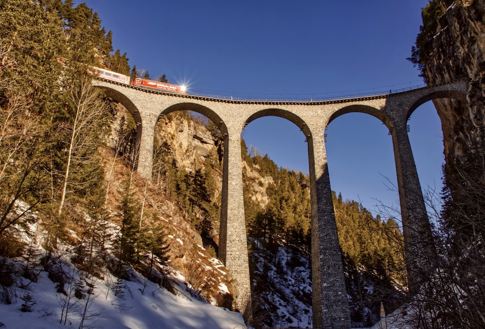 brown concrete bridge over green trees during daytime