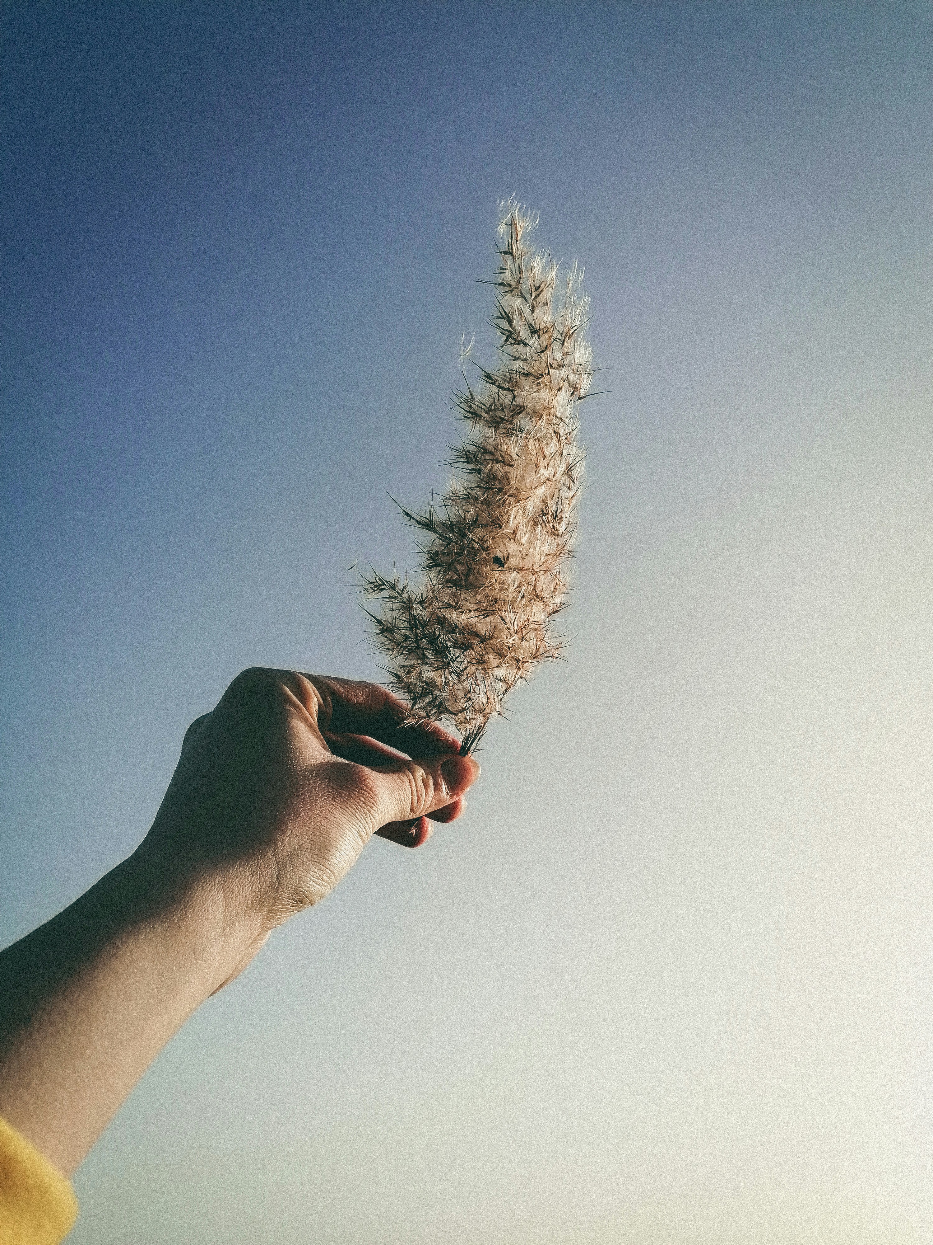 Photo by sindy_suessengut