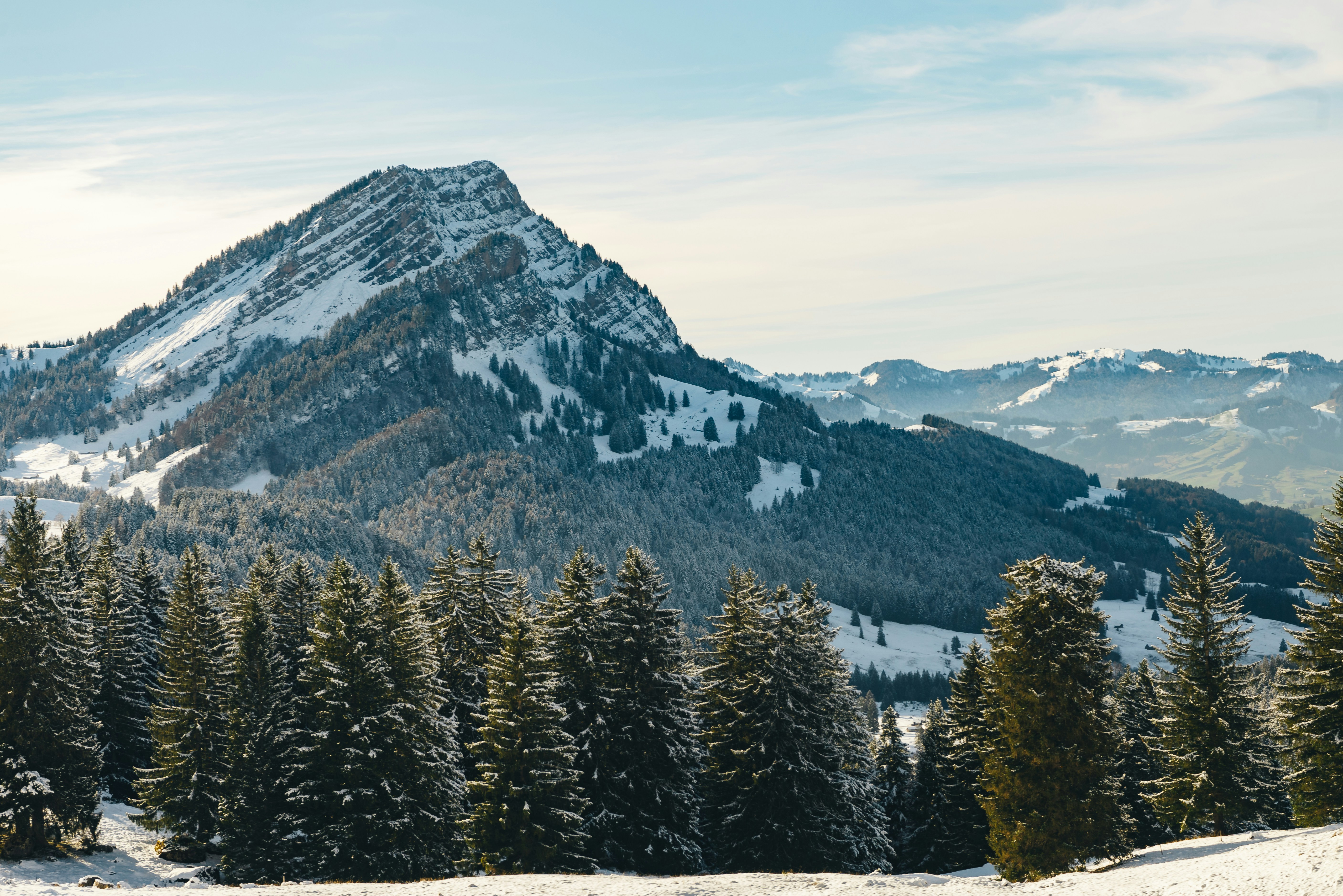 Photo by janikk_fischer