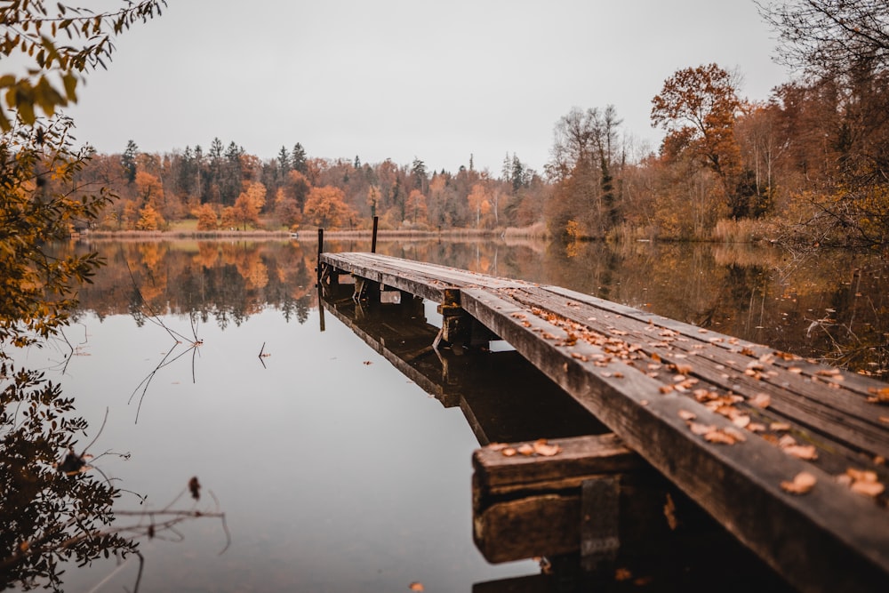 brown wooden dock on lake during daytime