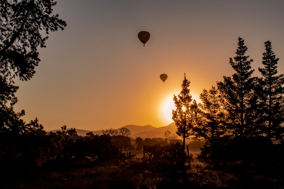 silhouette of hot air balloons during sunset