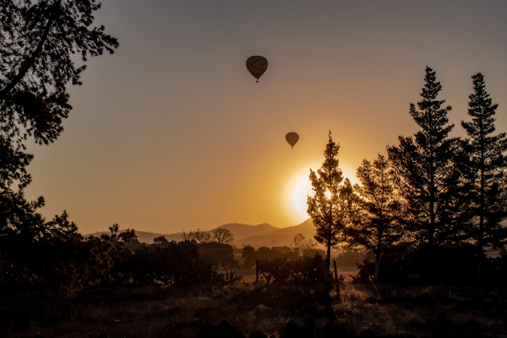 silhouette of hot air balloons during sunset