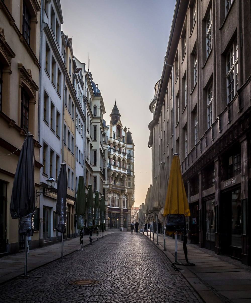 people walking on street during daytime