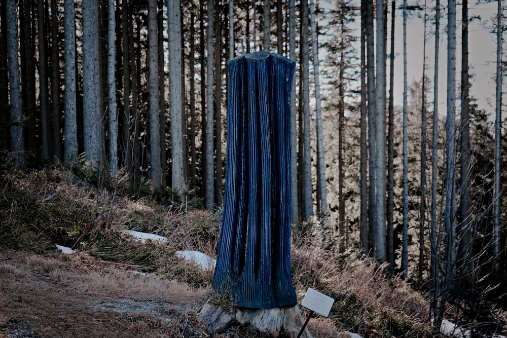 blue textile on brown tree trunk