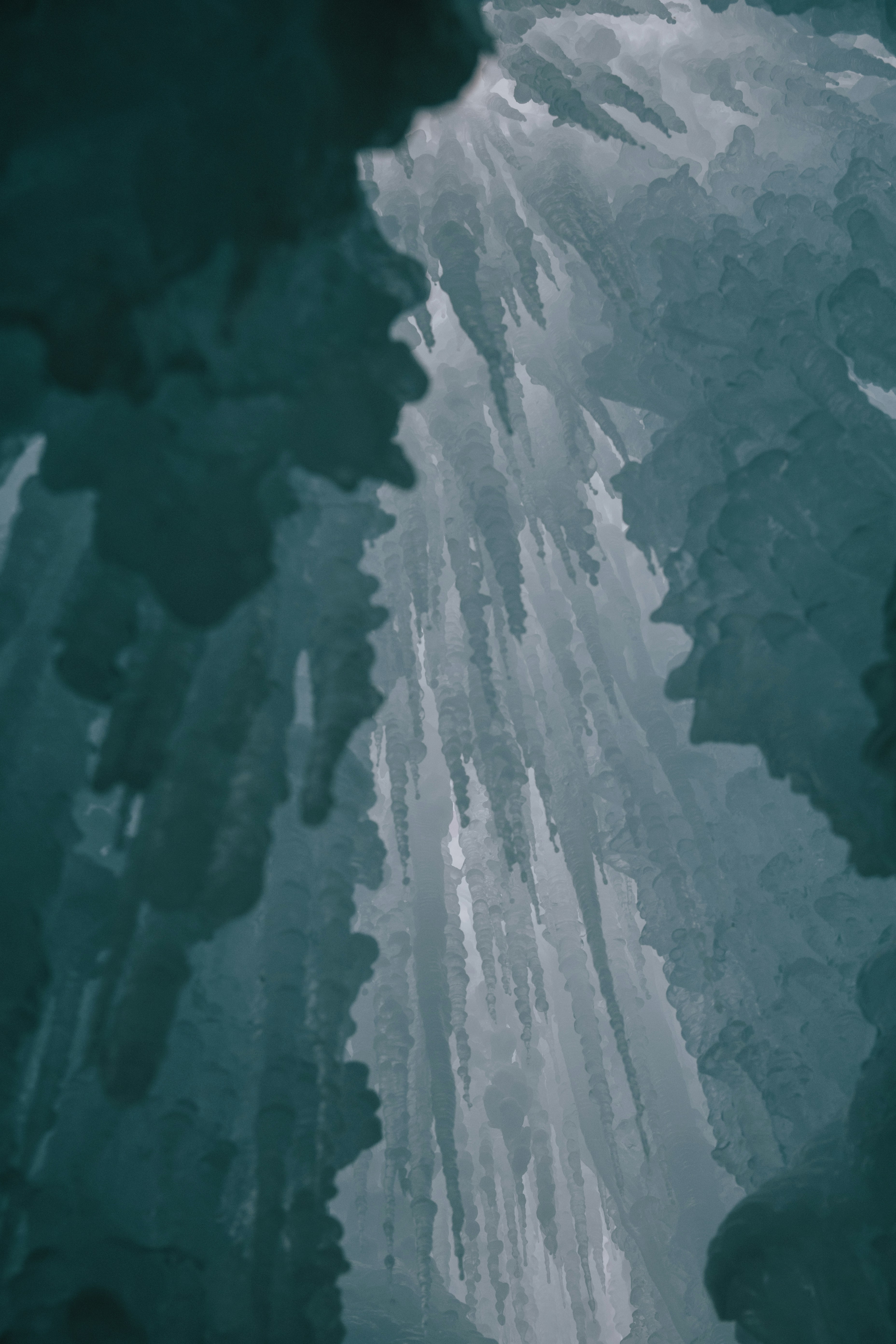 Photo by kellysikkema