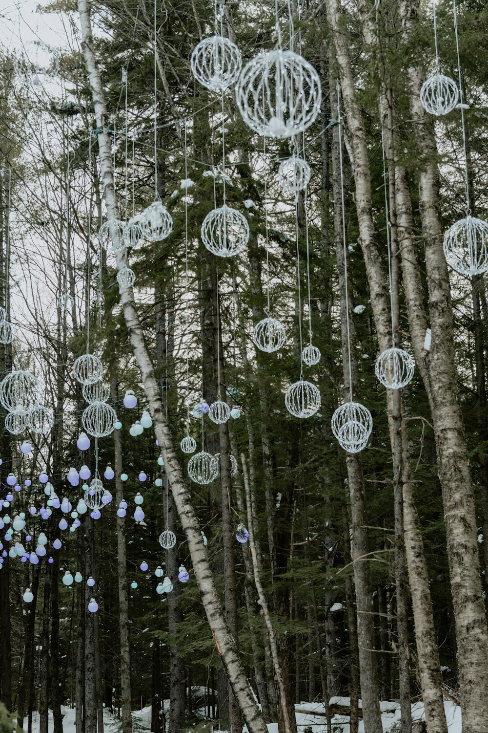 luzes de corda branca em árvores durante o dia