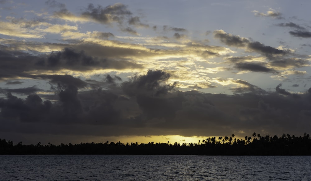 silhouette of trees near body of water during sunset