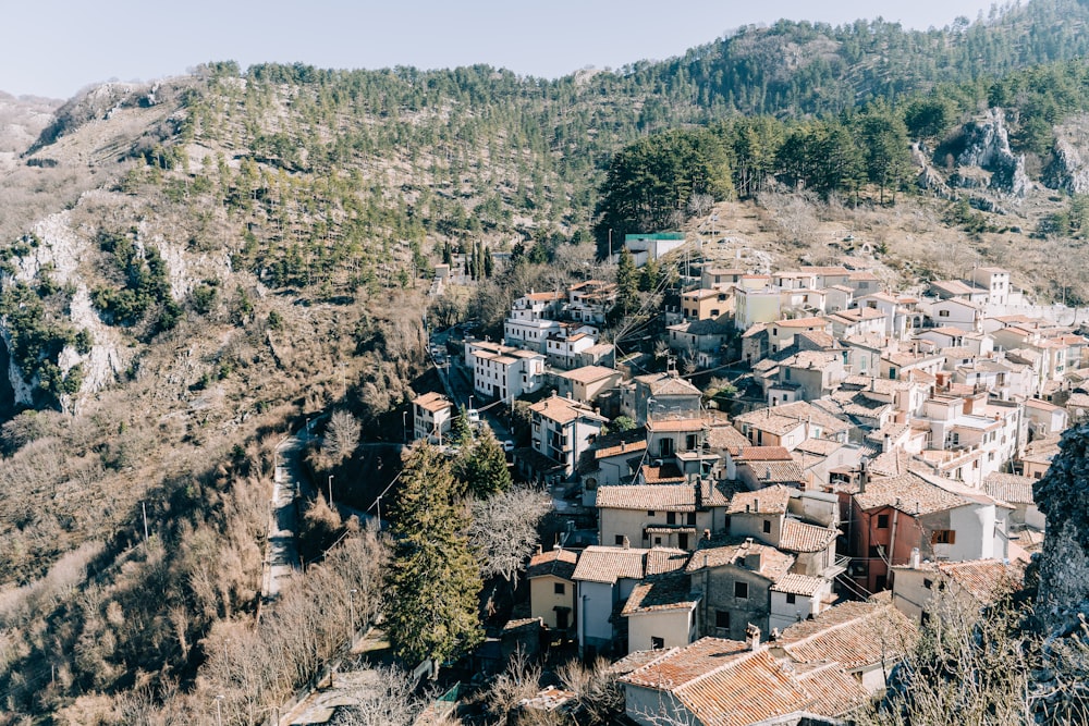 aerial view of city during daytime