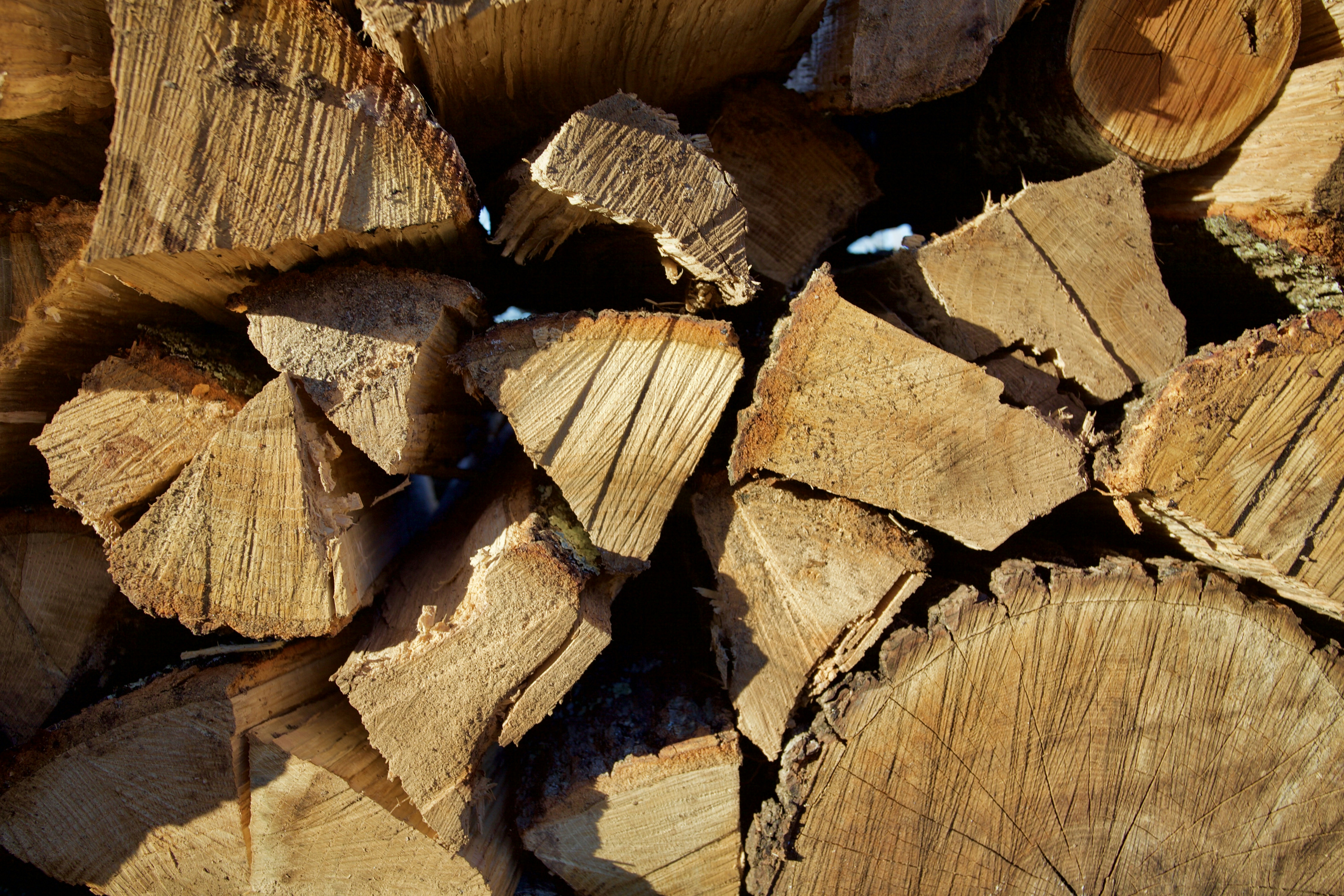 brown wood logs in close up photography