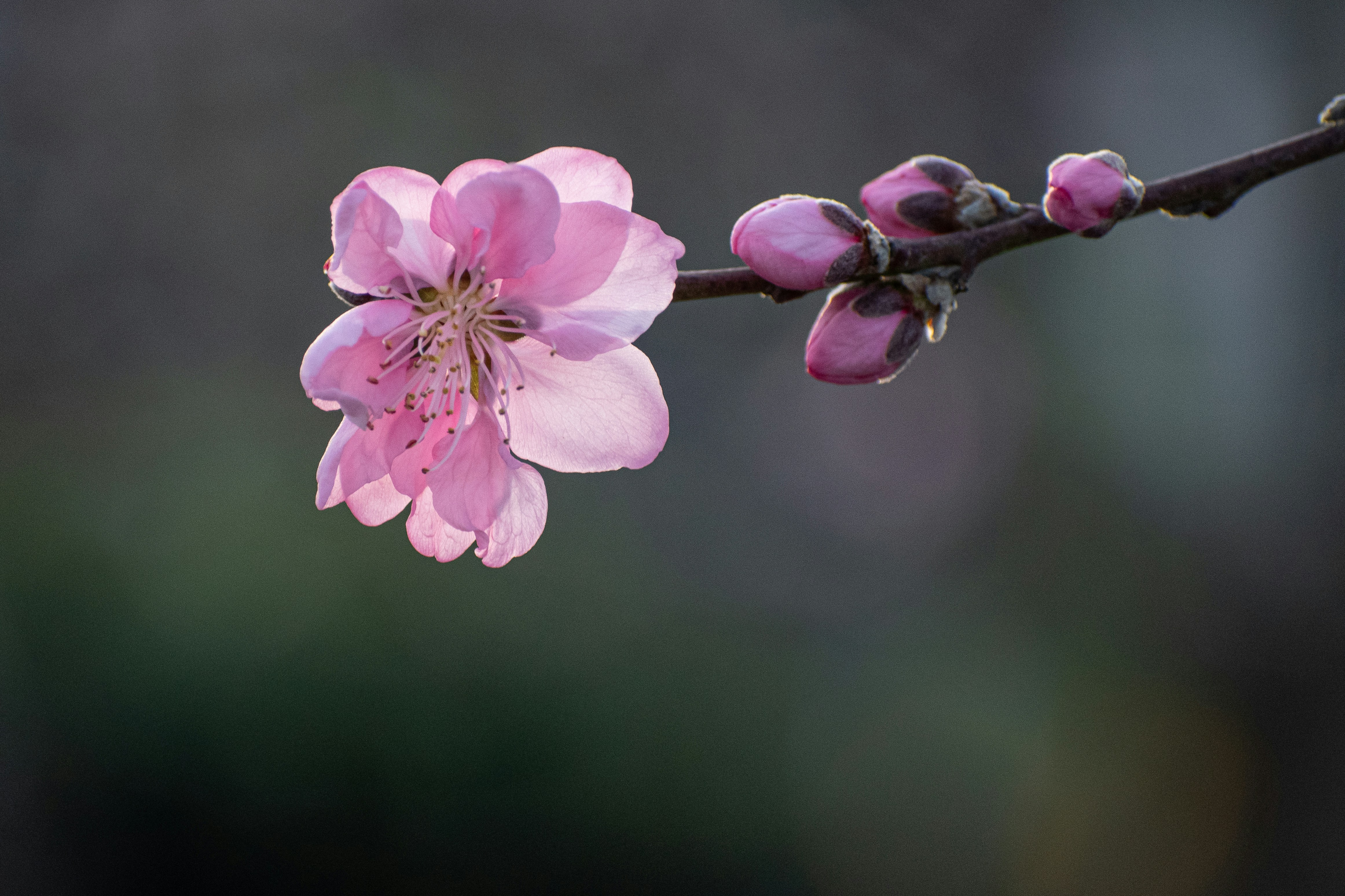 Photo by elisastonephotography