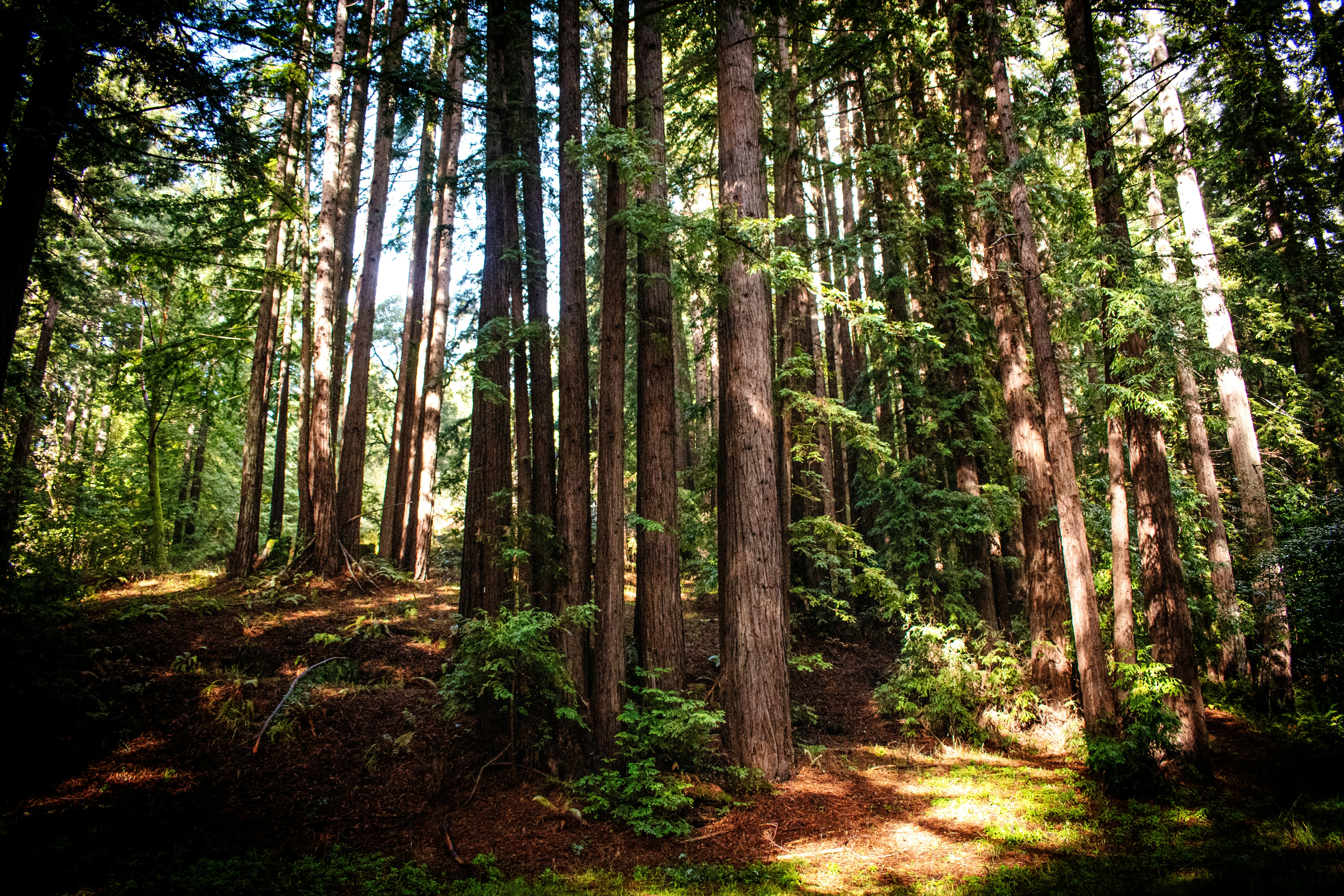 Photo by elisastonephotography