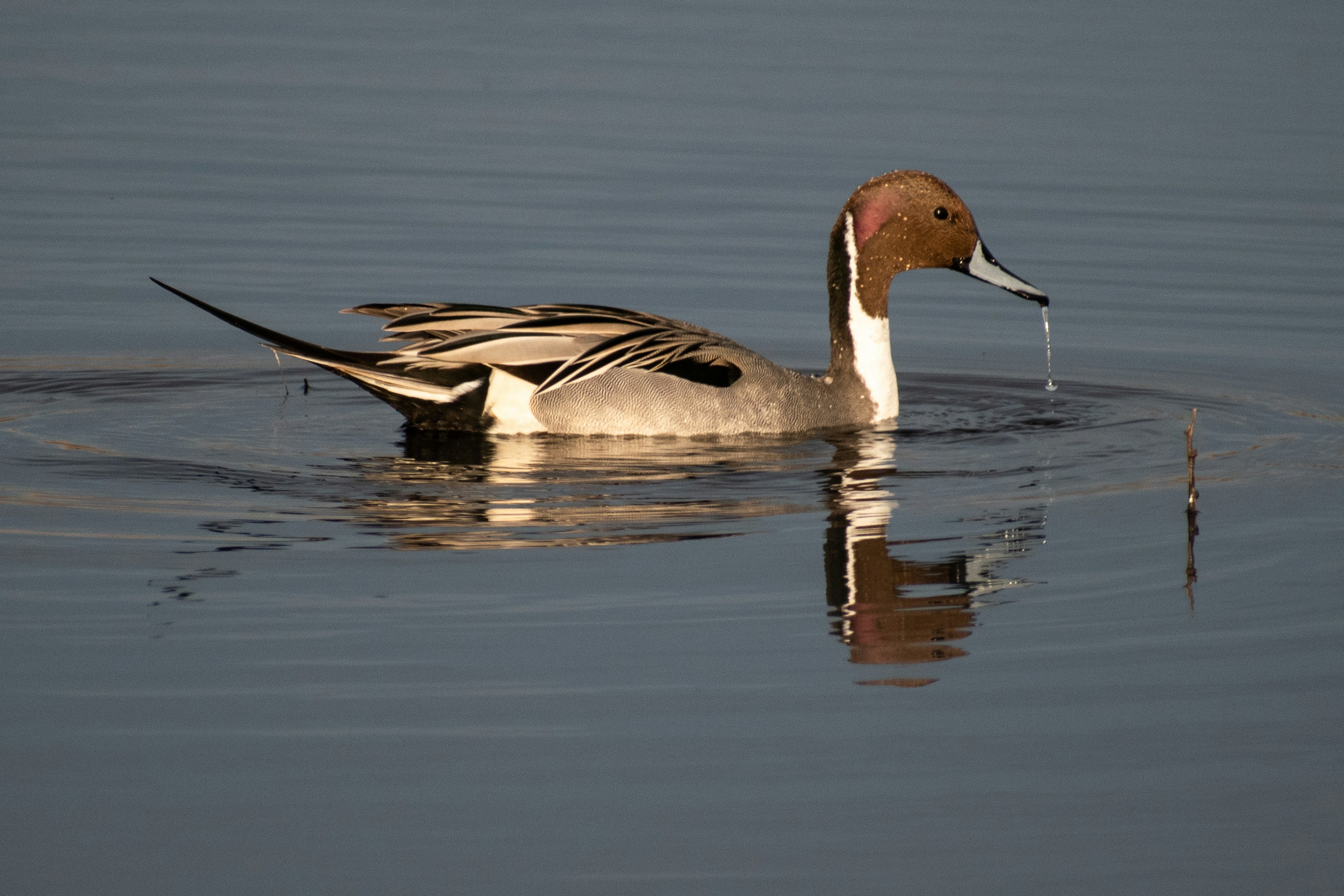 Photo by elisastonephotography