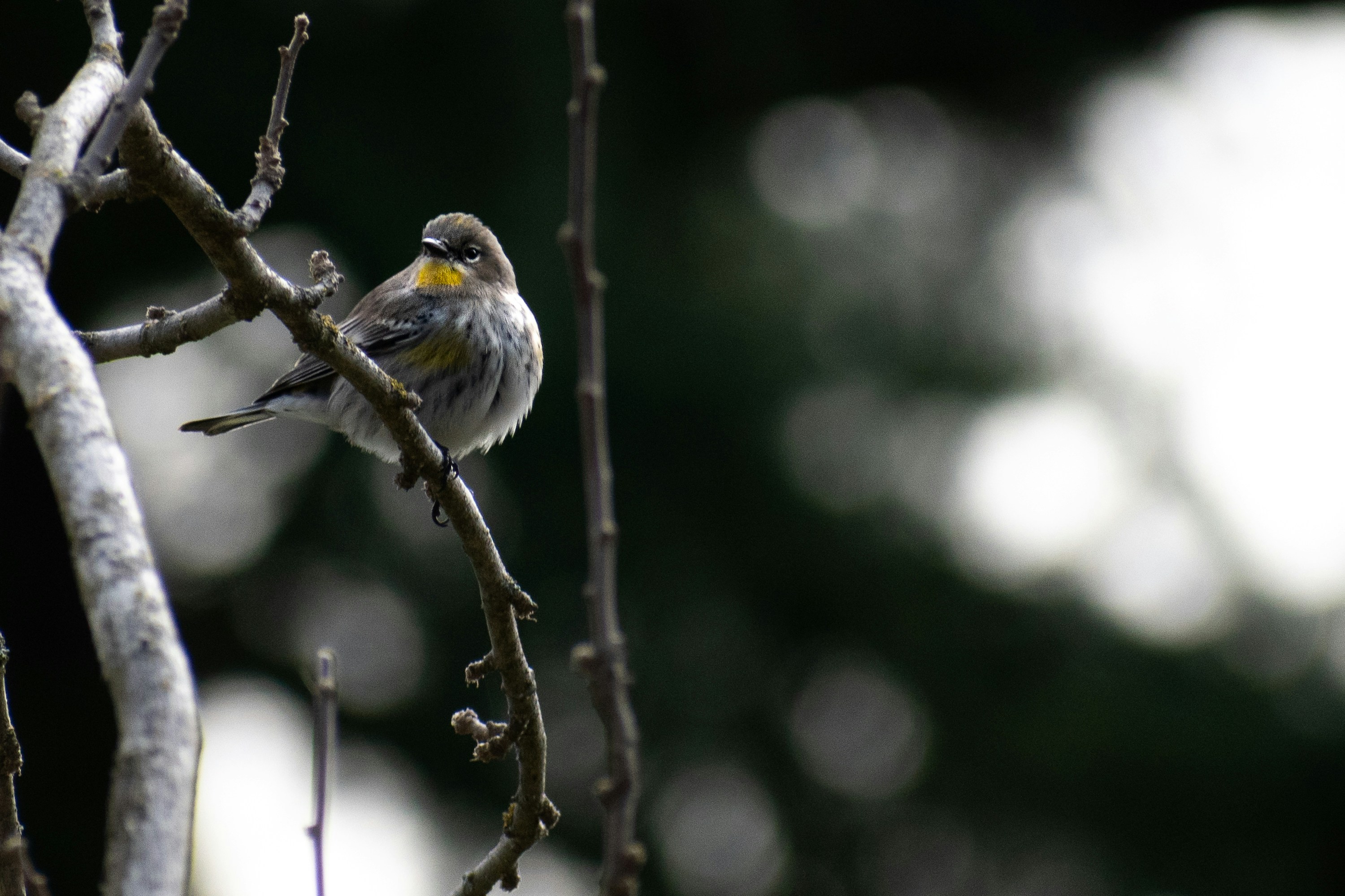 Photo by elisastonephotography