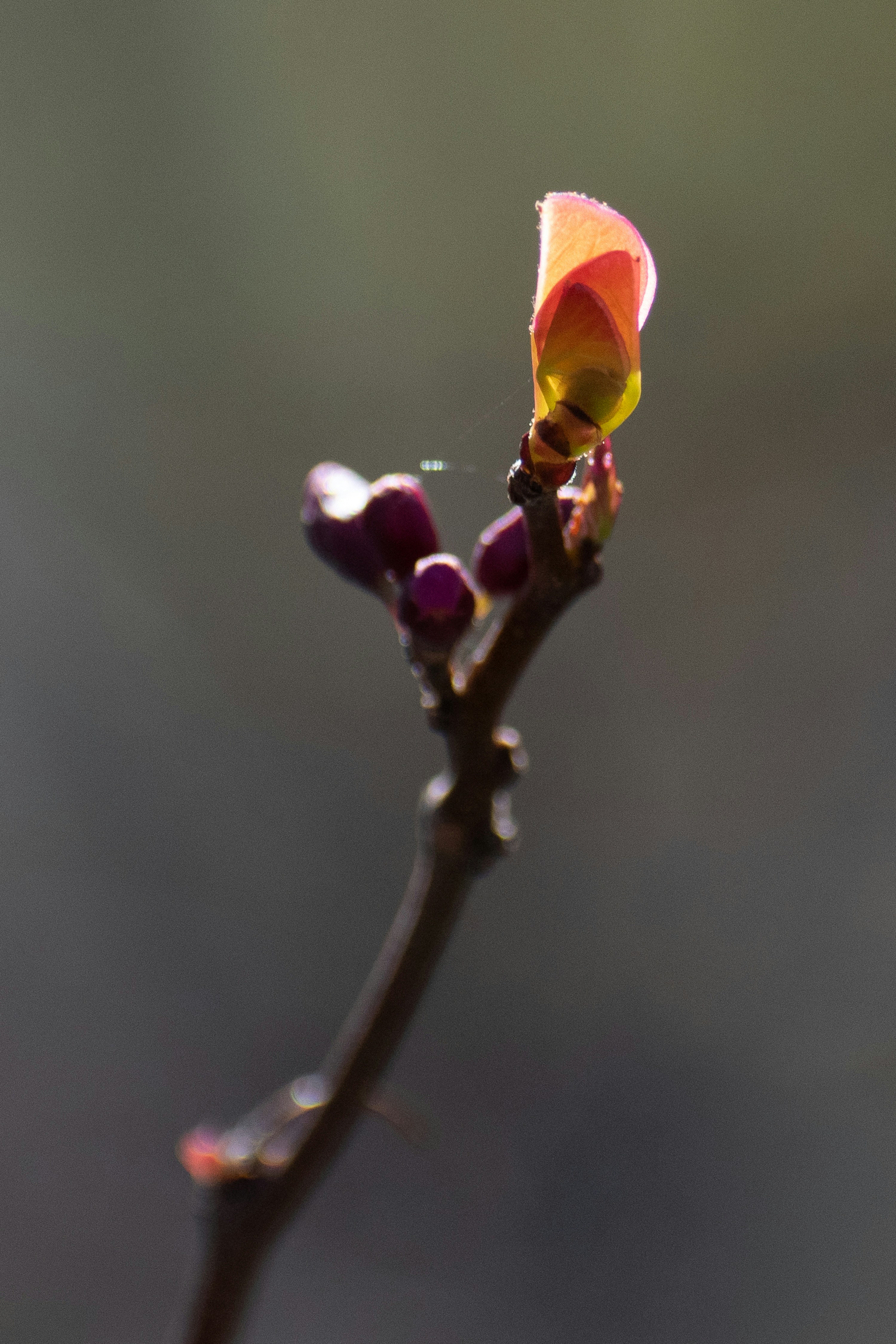 Photo by elisastonephotography